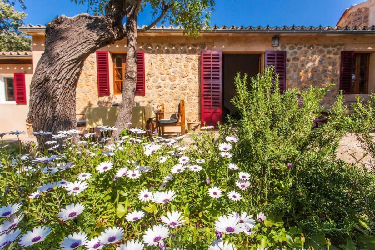 Preciosa Casa Ca Mado Maria Con Vistas A Vakantiehuis *